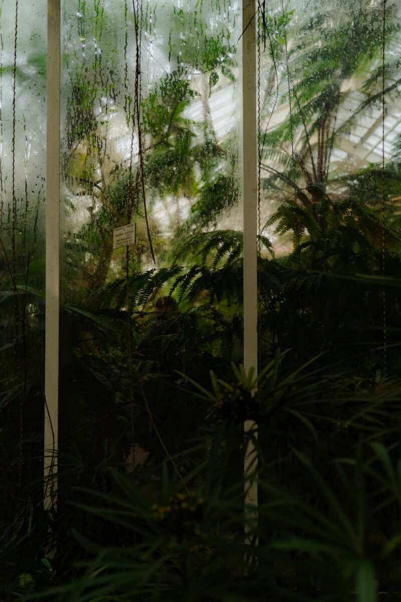 Implications of Treaty Breaches