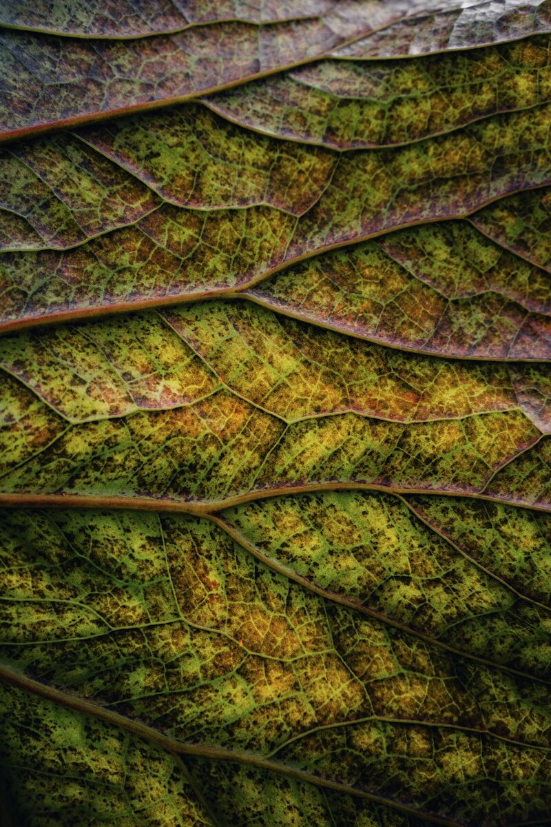 Space Law & Human Rights