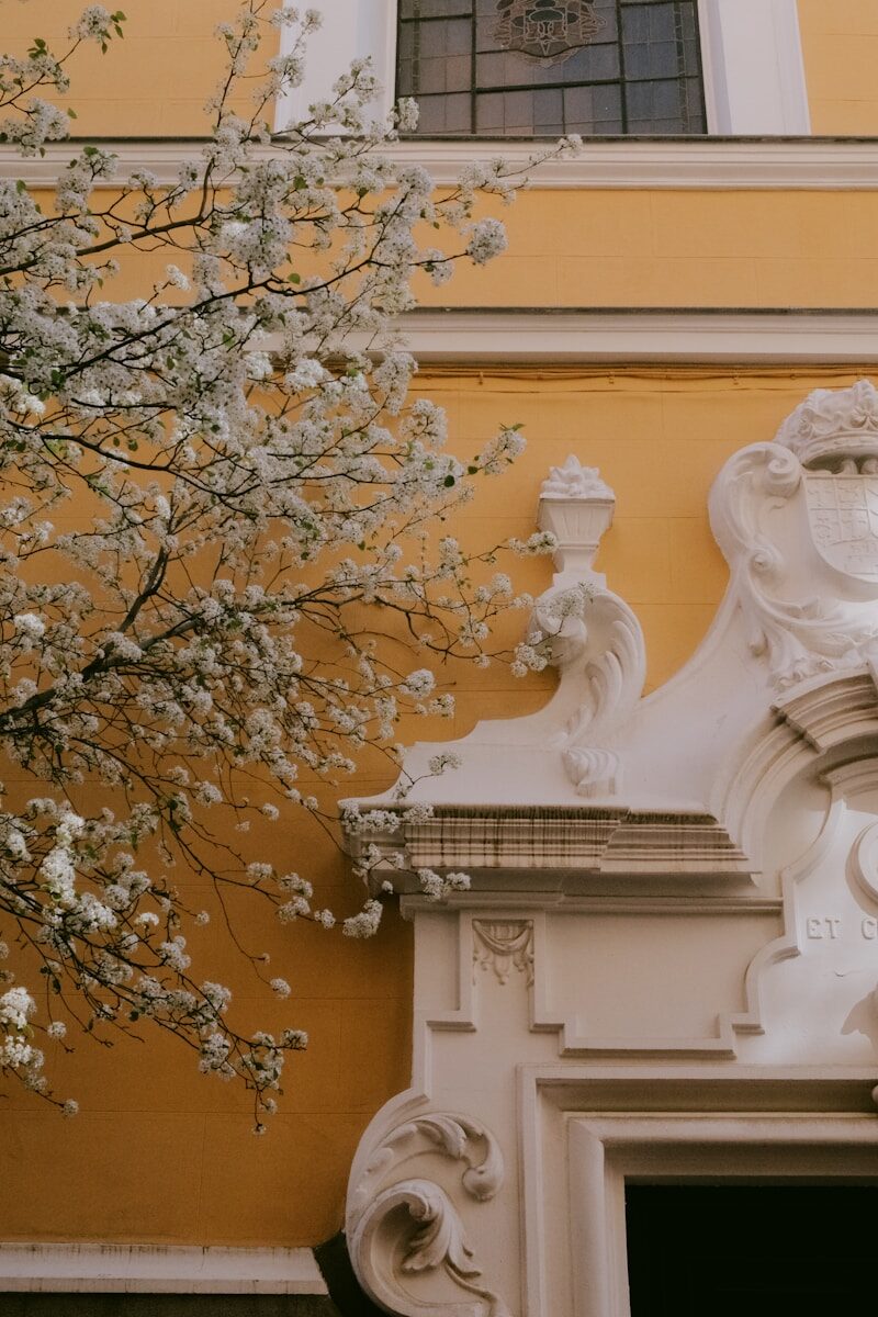 Border Control and Sanctions